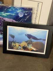 Coral Reef and Diver Framed Photograph