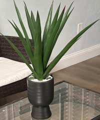 Aloe Plant in Ceramic Pot, Artificial Plant and Pebbles