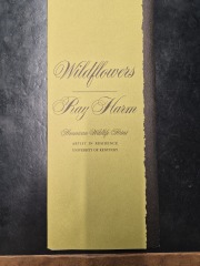 Ray Harm  Wildflowers