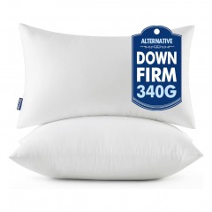 3637 R12 | MIULEE Throw Pillow Inserts 2-Pack