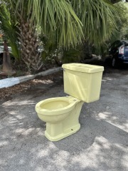Vintage Lemon Yellow Toilet