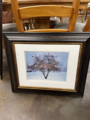 A lonely Tree in the Snow