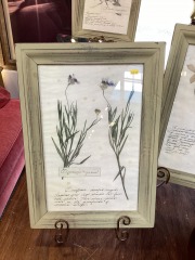 Floral Wall Art