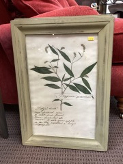 Floral Wall Art
