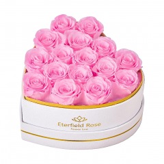 3729 R10 | ETERFIELD 16 Forever Roses