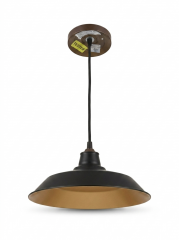 Dome Light