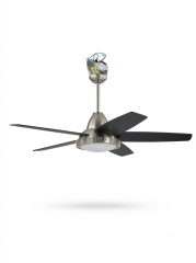 Ceiling Fan With Light