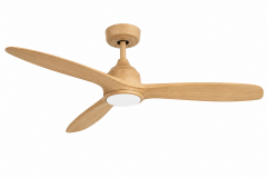 Ceiling Fan With Light