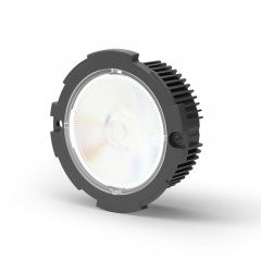 Fixed Downlight