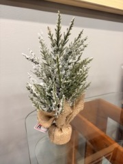 Online: N-Artificial Pine & Snow
