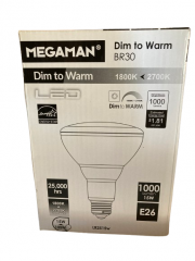 Light Bulb