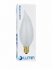 Frosted Light Bulb