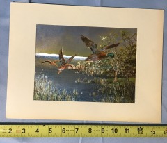 vintage F. Osborne mallard duck foil art print, featuring a holographic lake scene.