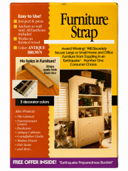 Furniture Strap