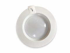 Downlight