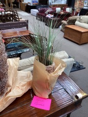 Seed Basket