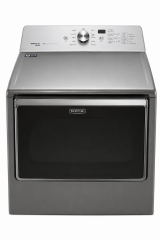 Steam Dryer