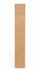 Plywood Panel