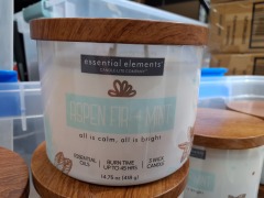 Essential Elements Aspen Fir + Mint 14.75oz. Candle