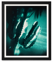 Signed Cactus Photographic