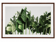 Large Framed Tropical Leaf Botanical Print