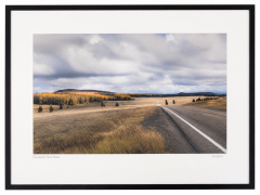 Framed Print - Frank Dimarco
