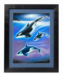Orca Pastel Artwork
