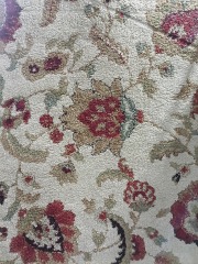 Tan floral 5x 7 rug 3560