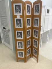 Folding Photo Room Screen