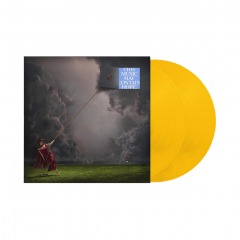 4101 C12 | RAYE This Music May Contain Hope Vinyl