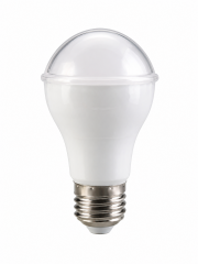 Light Bulb