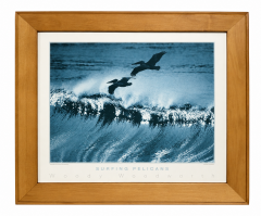 Framed Surf Print