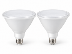 Pair of 2 LED Flood Bulbs