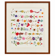 Framed Botanical Flower Print