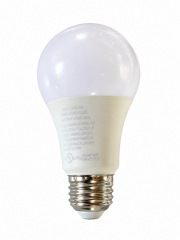 LED Bulb