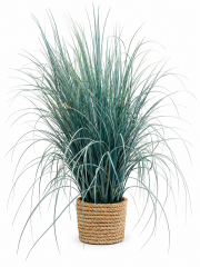 Decorative Grass Arangment