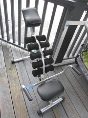 Abdominal & Back Exercise Bench