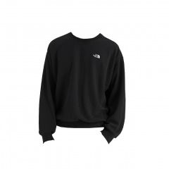 4355 P8 | THE NORTH FACE Evolution Simple Dome Oversize Crew