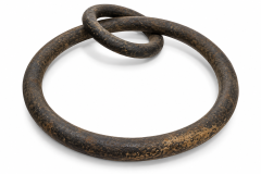 Large Steel Forged Ring